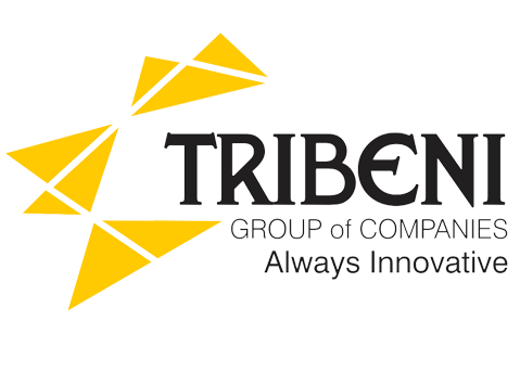 Triveni Group